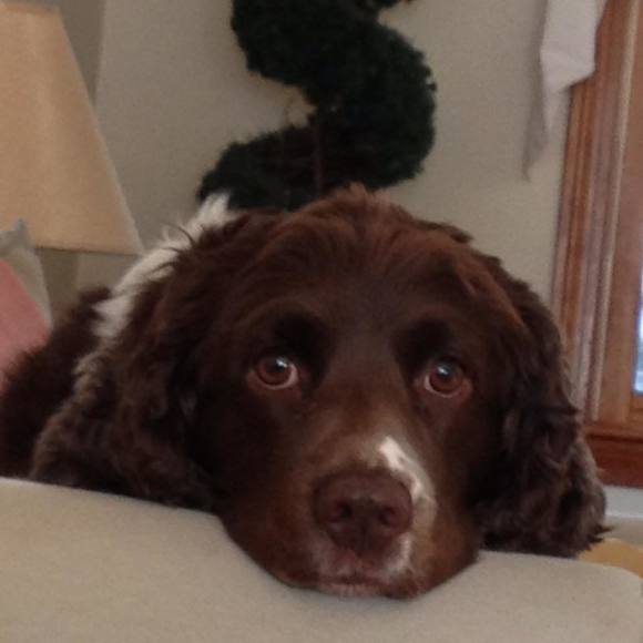 Meet your Posher, Heidi - Picture 1 of 1